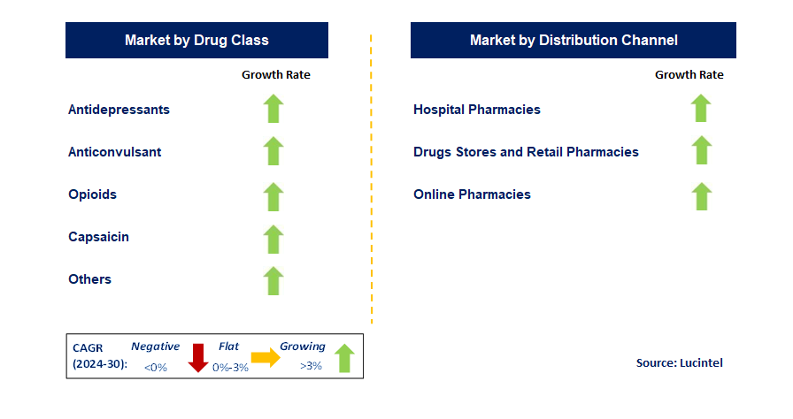 Neuropathic Pain Drug by Segment